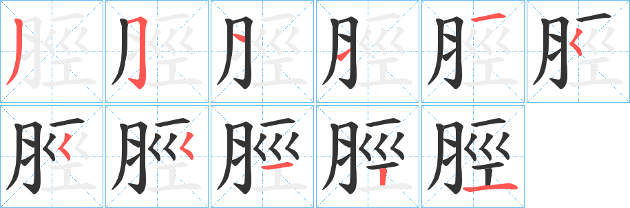 脛字笔画写法