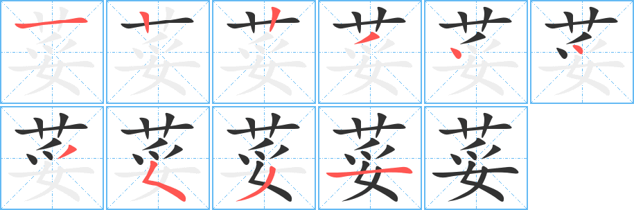 荽字笔画写法