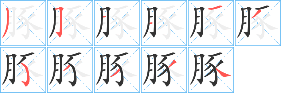 豚字笔画写法